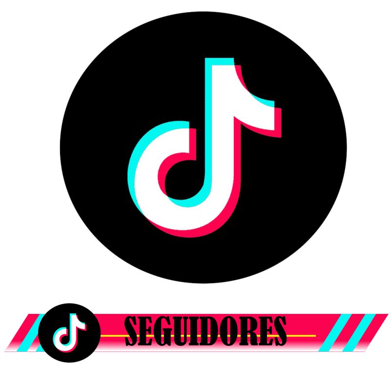 Seguidores TikTok
